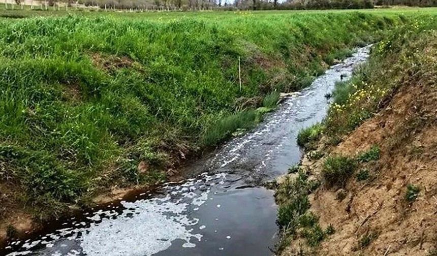 Sinop'ta atık tesisine 1.6 milyon lira çevre cezası kesildi