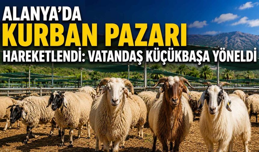 Alanya’da kurban pazarı hareketlendi: Vatandaş küçükbaşa yöneldi