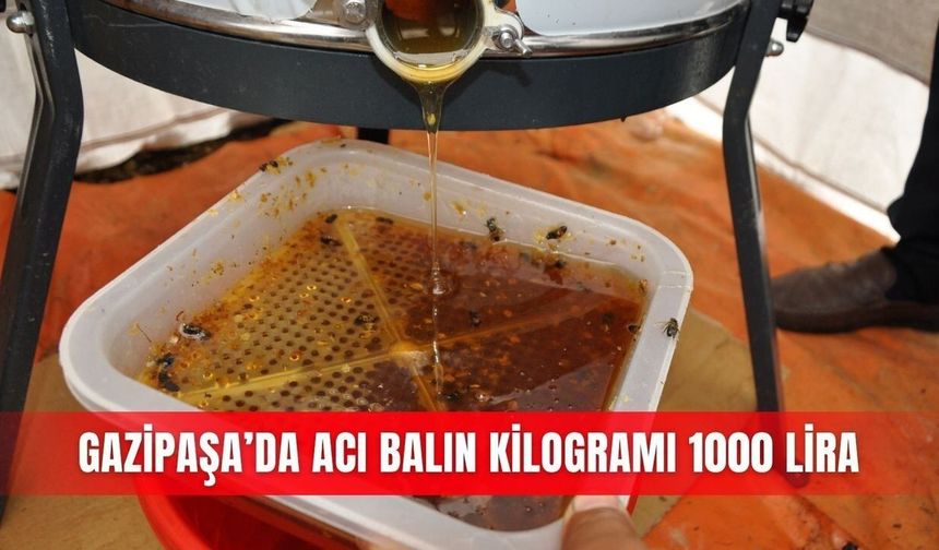 Gazipaşa'da acı bal hasadı başladı: Kilogramı 1000 lira