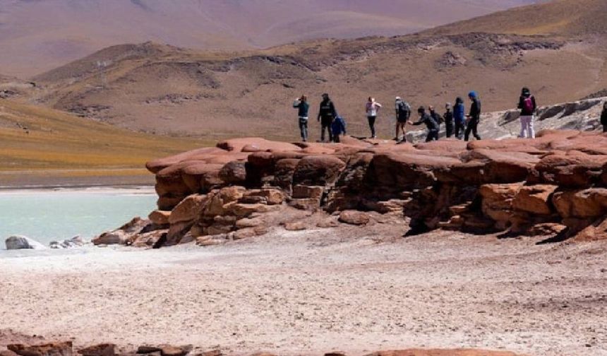 500 yıldır yağış almayan Atacama Çölü çiçek açtı