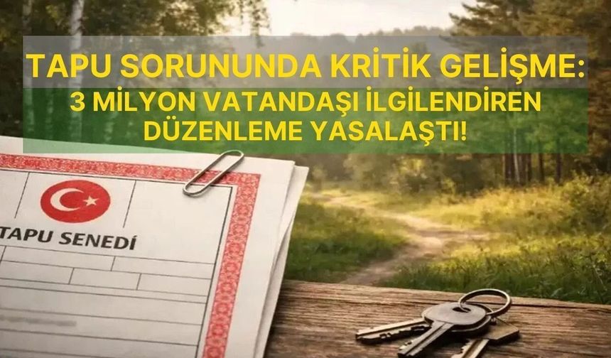 Orman Kanunu değişti: 80 bin taşınmazın tapu sorunu çözüldü
