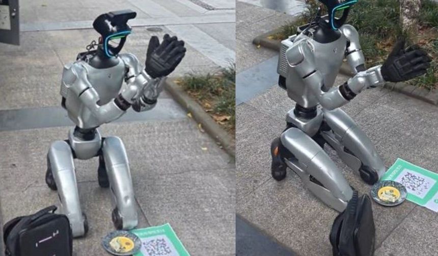 Çin'de 13 bin dolarlık insansı robot sokakta dilendi