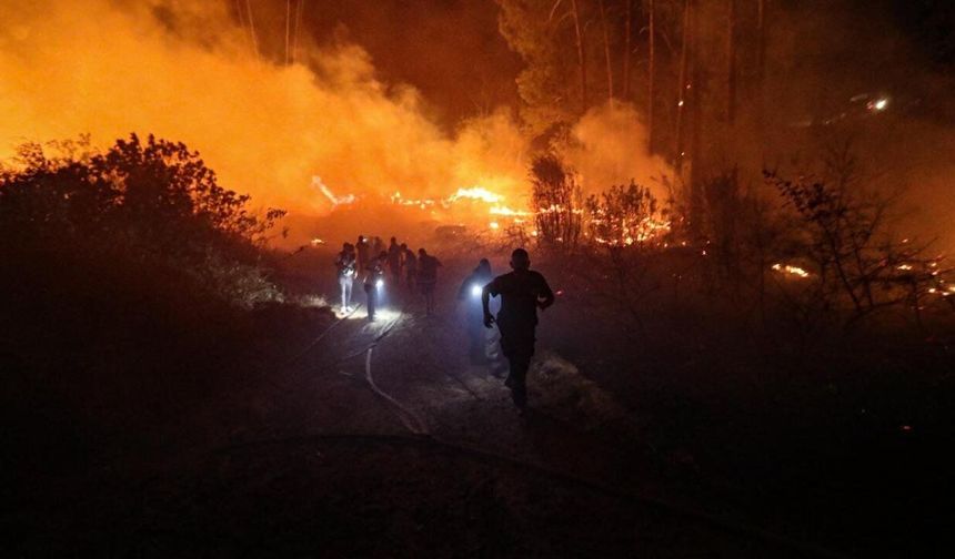 Alanya Ziraat Odası'ndan orman yangınlarına karşı uyarı