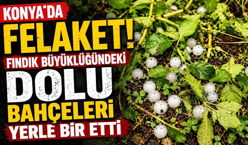 Konya'da felaket: Fındık büyüklüğündeki dolu bahçeleri yerle bir etti