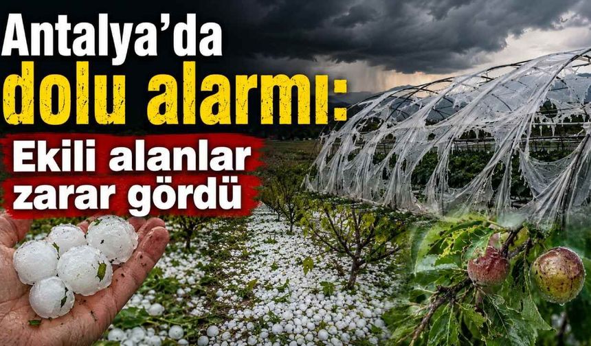 Antalya'da dolu alarmı: Ekili alanlar zarar gördü