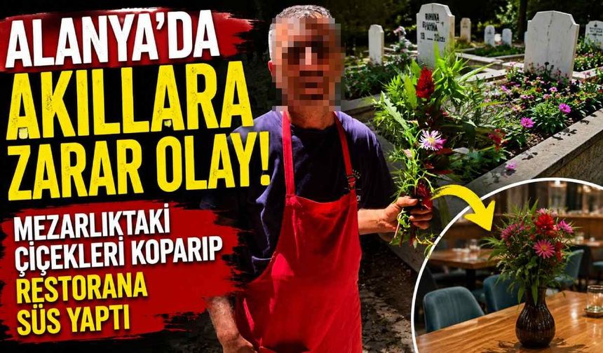 Alanya'da akıllara zarar olay! Mezarlıktaki çiçekleri koparıp nereye götürdü?