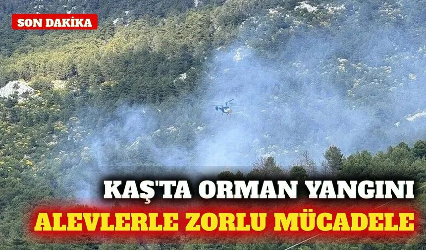 Kaş'ta orman yangını: Havadan ve karadan müdahale sürüyor