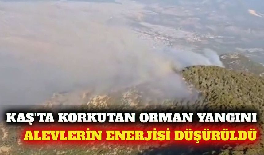 Kaş'ta orman yangını: Alevlerin enerjisi düşürüldü