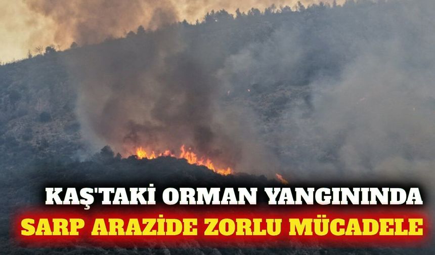 Kaş'taki orman yangınında ikinci gün: Müdahale sürüyor