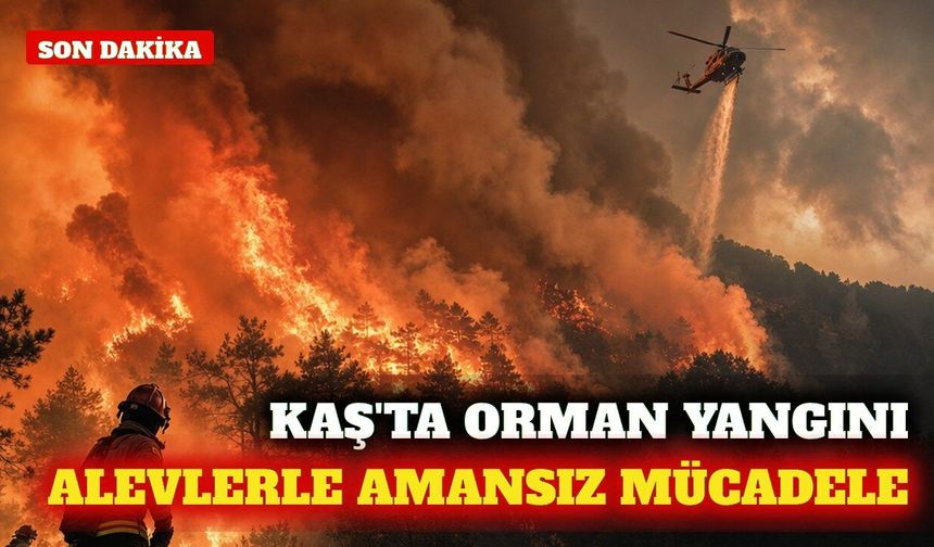 Kaş Üzümlü'de orman yangınına havadan ve karadan müdahale