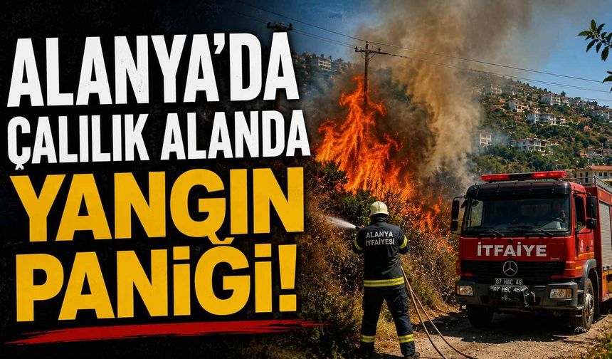 Alanya'da çalılık alanda yangın paniği!