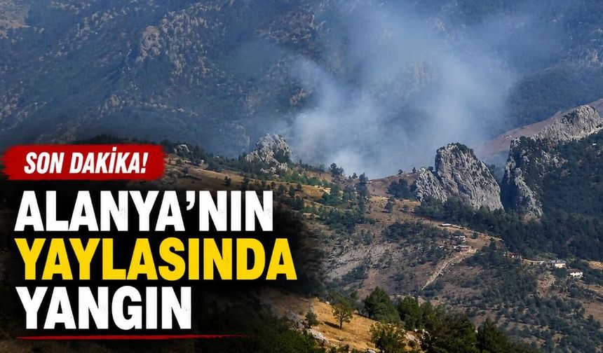 Son dakika! Alanya'nın yaylasında yangın
