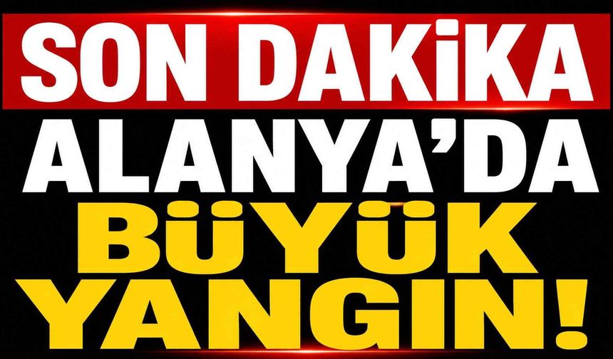 Son dakika! Alanya'da büyük yangın