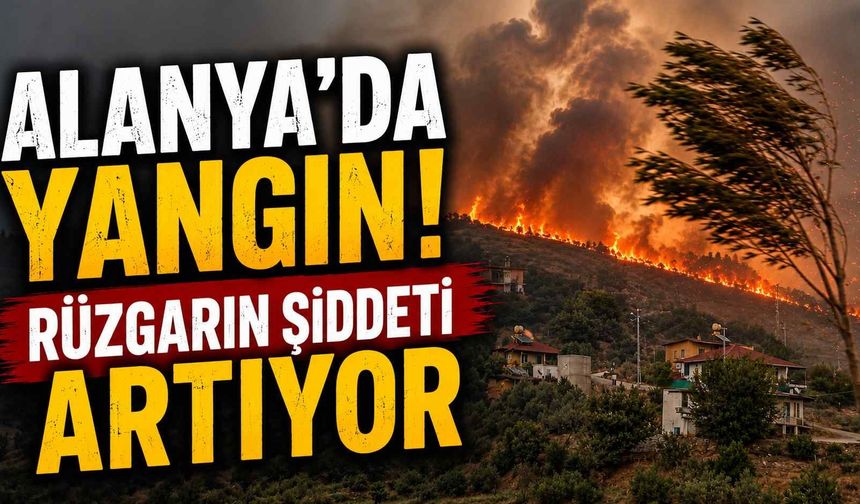 Alanya'da yangın! Rüzgarın şiddeti artıyor