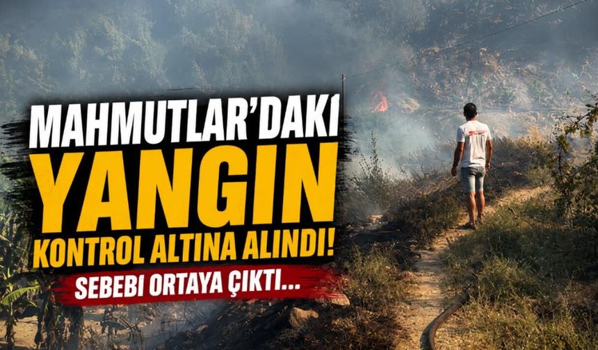 Alanya Mahmutlar'daki yangın kontrol altına alındı! Sebebi ortaya çıktı...