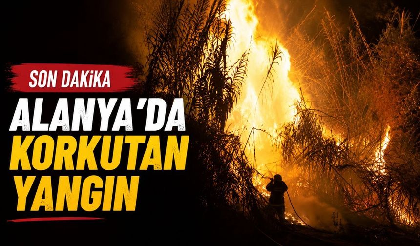 Son dakika - Alanya'da korkutan yangın
