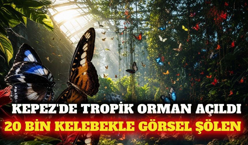 Kepez'de 20 bin kelebekli tropik orman ziyarete açıldı