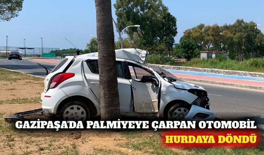 Gazipaşa'da otomobil palmiye ağacına çarptı: 1 yaralı