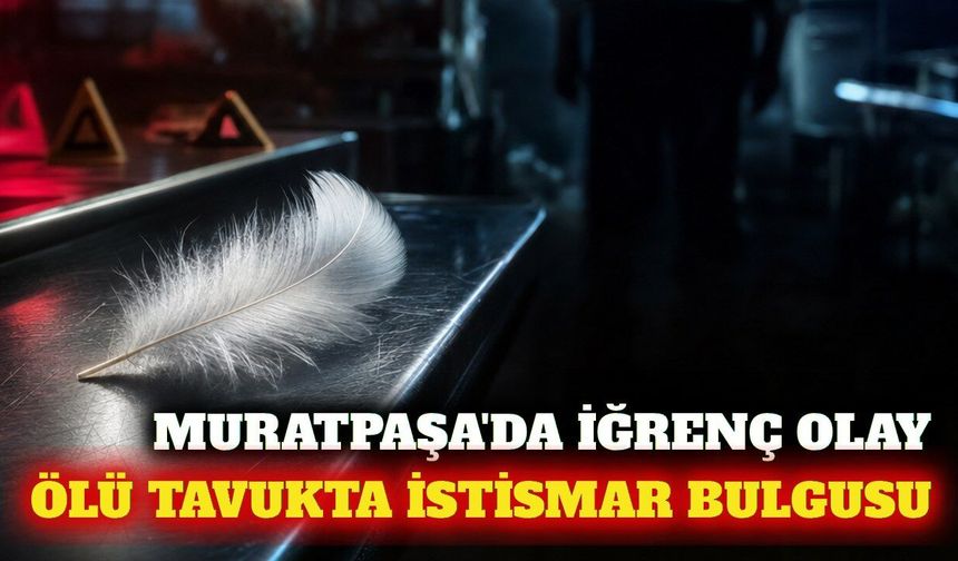 Antalya Muratpaşa'da ölü tavukta istismar şüphesi