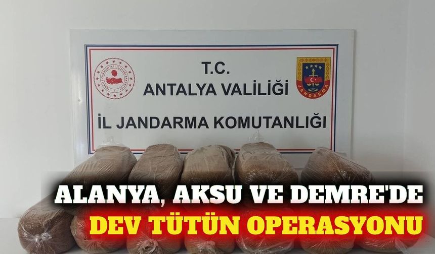 Alanya, Aksu ve Demre'de 785 kilo kaçak tütün ele geçirildi