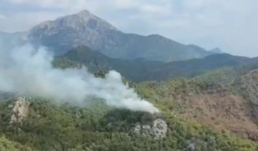 Kemer Çıralı'da yeniden orman yangını: Ekipler alarmda