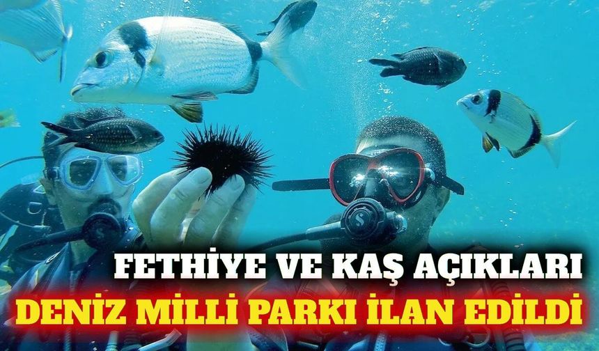 Antalya ve Muğla açıklarına deniz milli parkı statüsü
