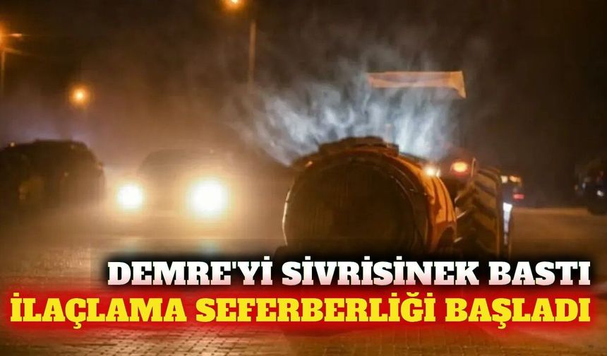 Demre'de sivrisinek artışı sonrası ortak ilaçlama başladı