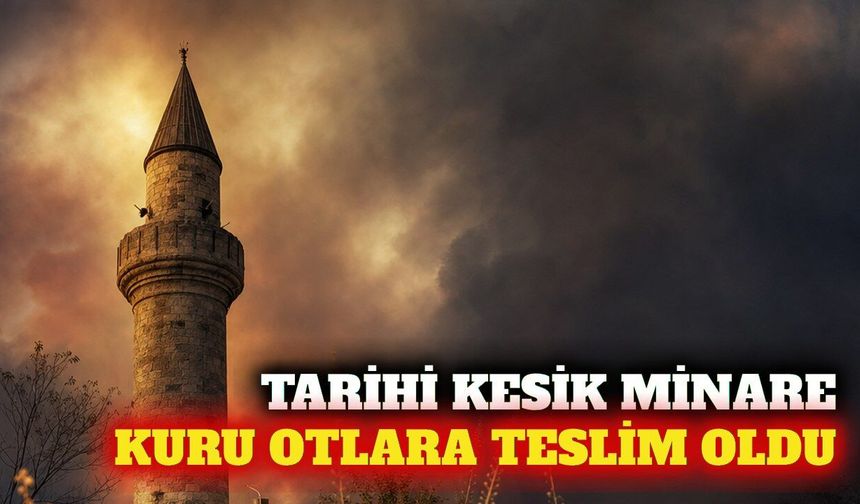Kaleiçi'ndeki Kesik Minare'yi kuru otlar sardı