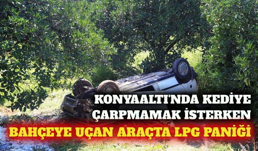 Konyaaltı'nda kediye çarpmamak için bahçeye uçtu