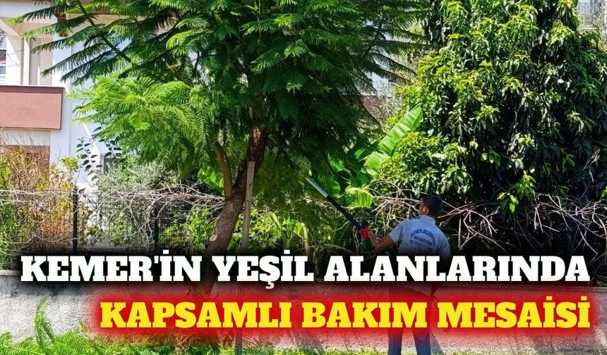Kemer'de yeşil alan ve engelsiz park bakımı sürüyor