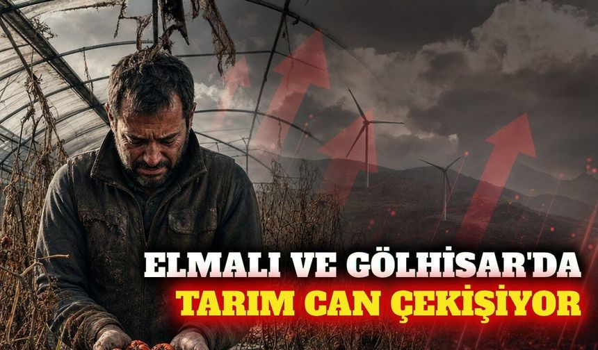 Elmalı ve Gölhisar hattında tarımsal üretim alarm veriyor