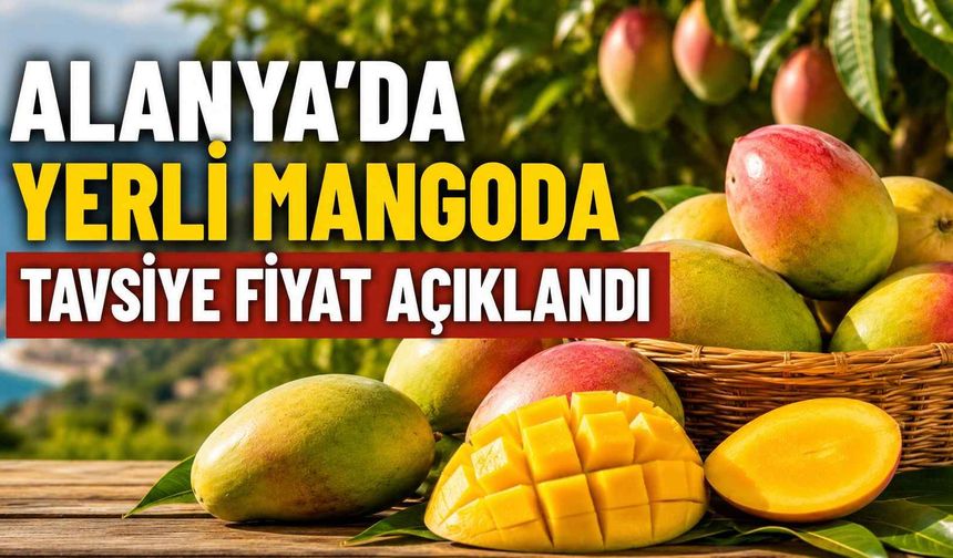 Alanya’da yerli mangoda tavsiye fiyat açıklandı