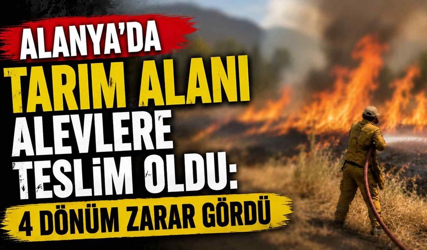Alanya’da tarım alanı alevlere teslim oldu: 4 dönüm zarar gördü