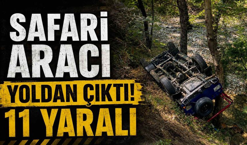 Safari aracı yoldan çıktı: 11 yaralı