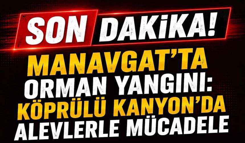 Manavgat’ta orman yangını: Köprülü Kanyon’da alevlerle mücadele