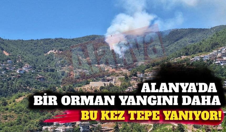 Son dakika - Alanya Tepe'de orman yangını kontrol altına alındı