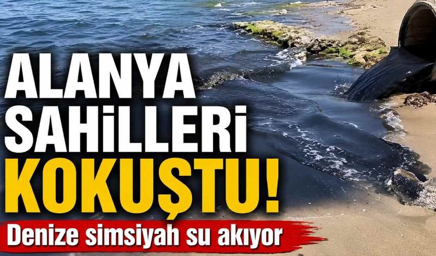 Alanya sahilleri kokuştu! Denize simsiyah su akıyor