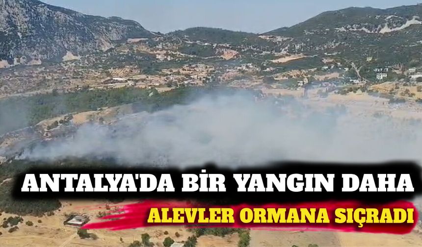 Antalya'da korkutan yangın: Alevler ormana sıçradı