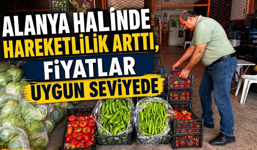 Alanya halinde hareketlilik arttı, fiyatlar uygun seviyede