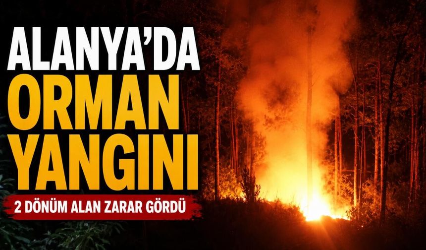 Alanya’da orman yangını söndürüldü: 2 dönüm alan zarar gördü