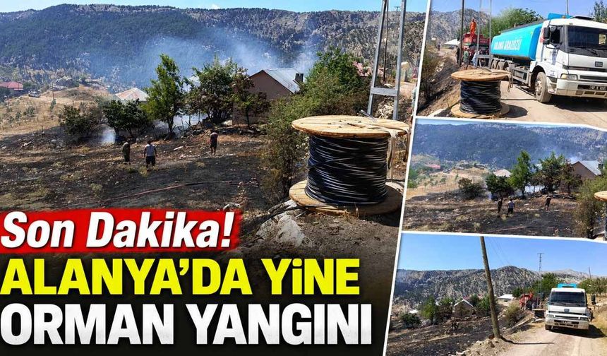 Son Dakika! Alanya'da yine orman yangını