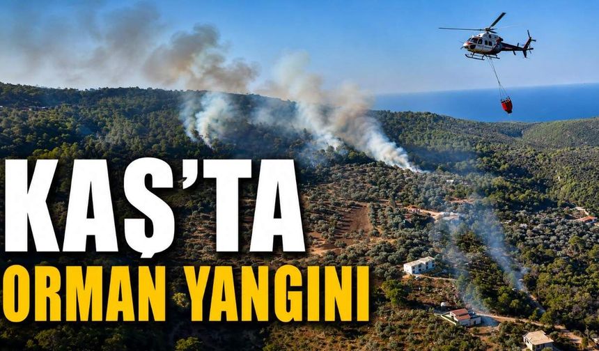 Antalya Kaş'ta orman yangını: 10 hava aracı müdahalede