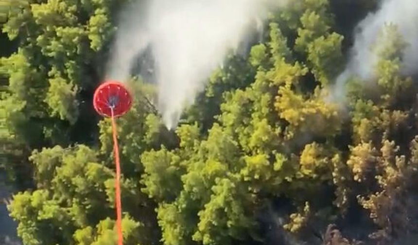 Manavgat’ta orman yangını: Havadan ve karadan müdahale başlatıldı