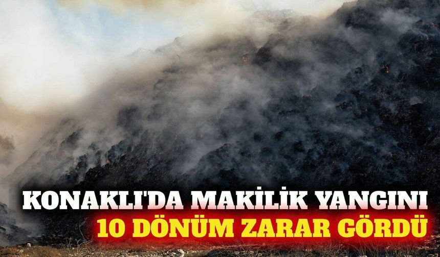 Alanya'da makilik alanda çıkan yangın söndürüldü