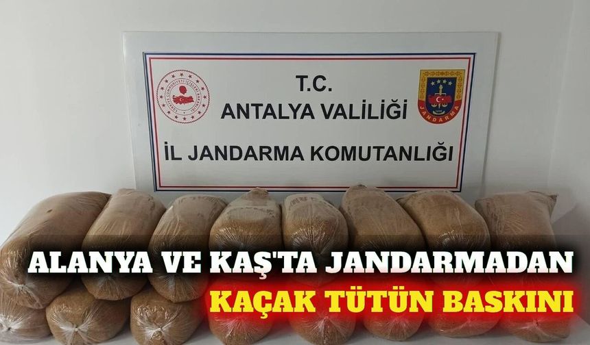 Alanya ve Kaş'ta jandarmadan kaçak tütün operasyonu