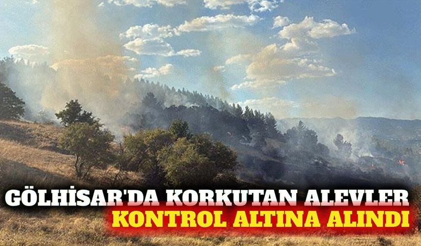 Burdur Gölhisar'da orman yangını kontrol altına alındı