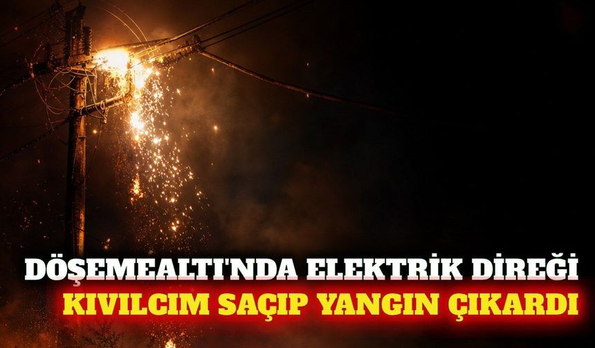 Döşemealtı'nda elektrik direğindeki şase yangına neden oldu