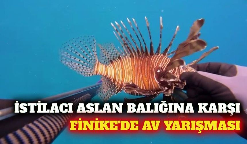 Finike'de aslan balığına karşı av yarışması