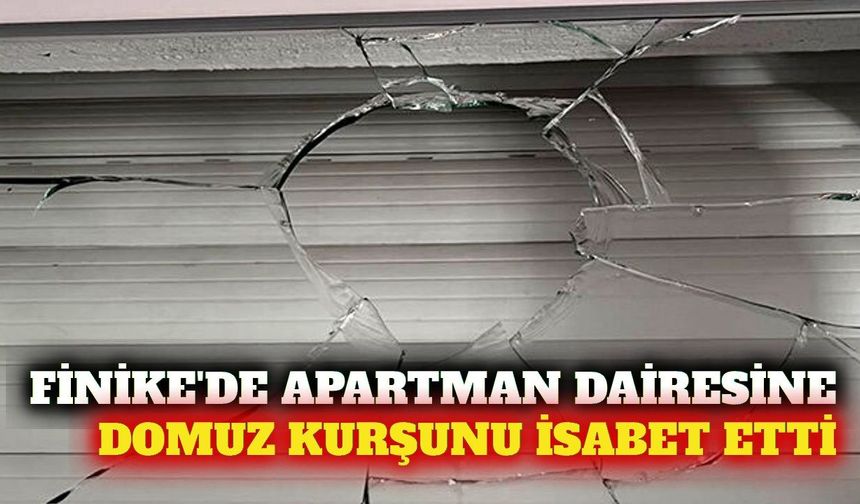 Finike'de apartman dairesine domuz kurşunu isabet etti