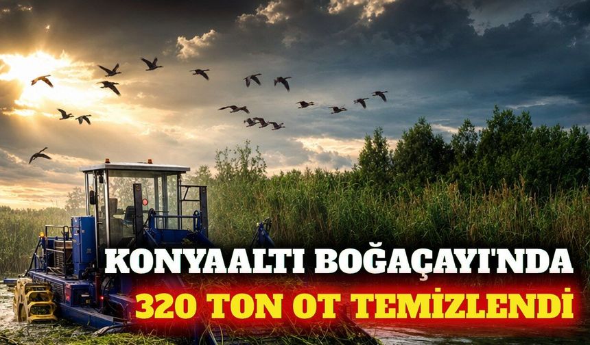 Konyaaltı Boğaçayı'nda 320 ton sucul bitki temizlendi